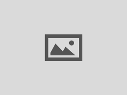 APEX Rentals